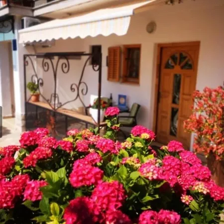 Rita Novigrad Istria