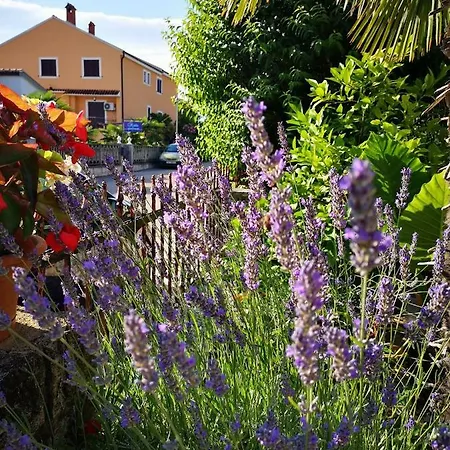 Rita Apartman