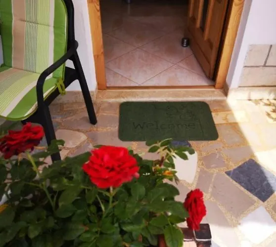 Rita * Novigrad Istria