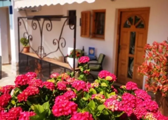 Rita Novigrad Istria