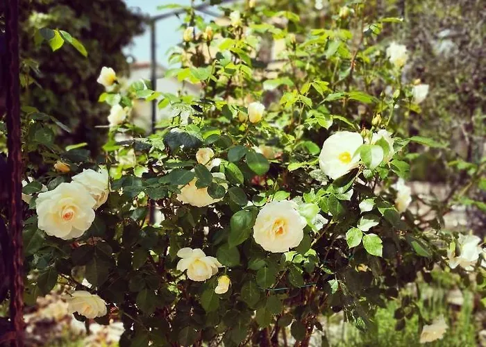 Διαμέρισμα Rita *