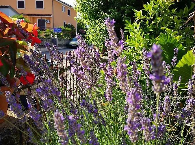 Rita Διαμέρισμα