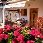 Rita Novigrad (Istria)