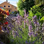 Rita Apartament